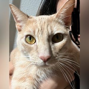 I’m live🤭🫣8/5